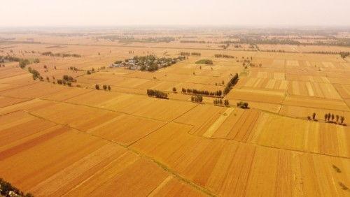 茶扎乡小学爆料事件视频,揭开校园安全与教育的隐忧  第3张